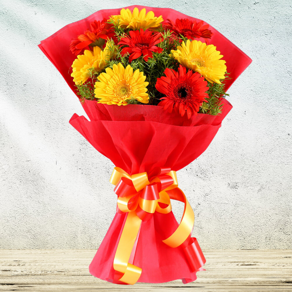 glorious-red-yellow-gerbera-blossoms-rc520fl-a