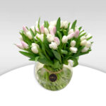 white and pink tulips